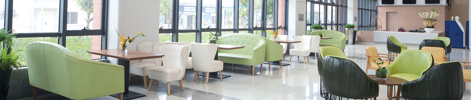 醫(yī)養(yǎng)家具